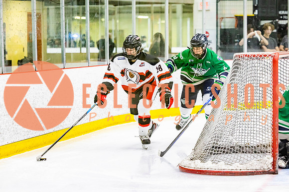 2022.11.11CalBisons-FVTBirds-4204