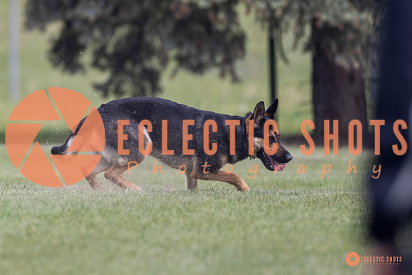 2025-K9Force-MayExams-7303