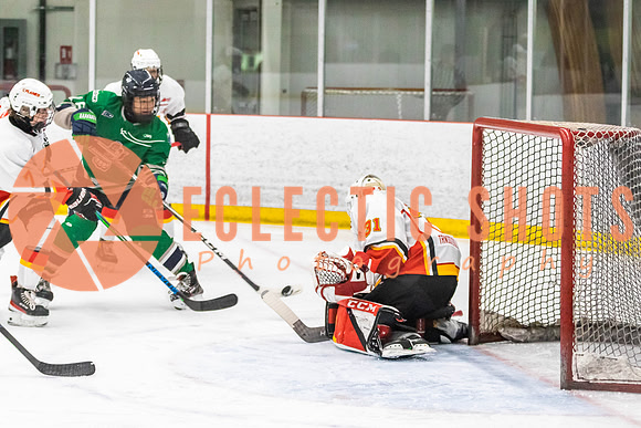 2022.11.09CalFlames-FVTBirds-0264