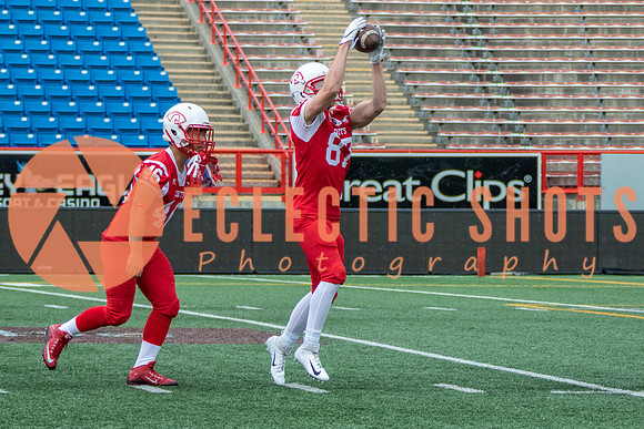 CalgaryColts2018-0839