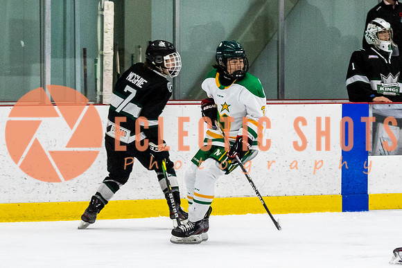 RMC2021-11-14-ShPkFlyers-CalNStars-2809