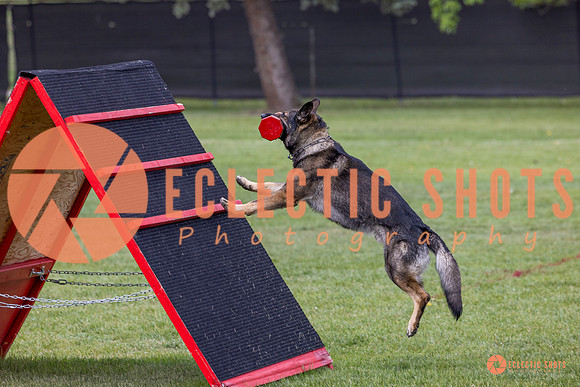 2025-K9Force-MayExams-5932