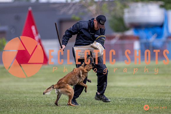 2025-K9Force-MayExams-8558