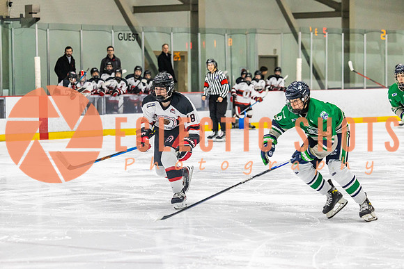 2022.11.11CalBisons-FVTBirds-4195
