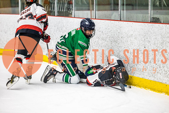 2022.11.11CalBisons-FVTBirds-4158