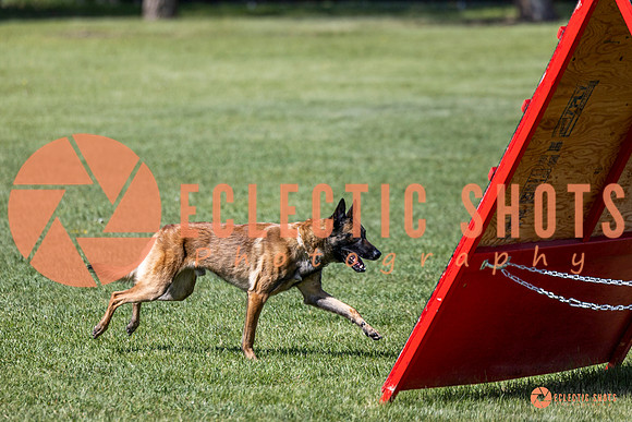 2025-K9Force-MayExams-7322