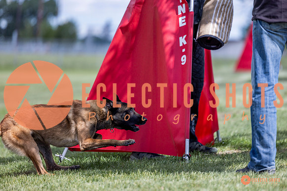 2025-K9Force-MayExams-7665