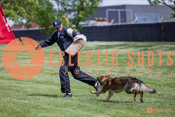 2025-K9Force-MayExams-6410