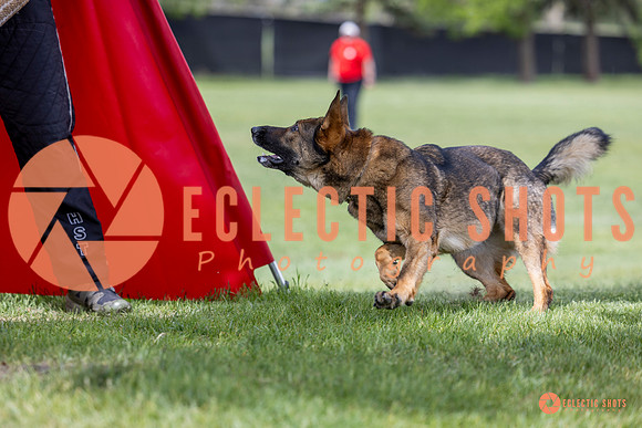 2025-K9Force-MayExams-6299