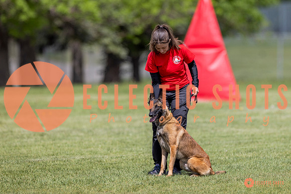 2025-K9Force-MayExams-8506