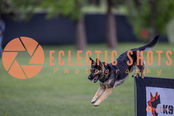2025-K9Force-MayExams-6375