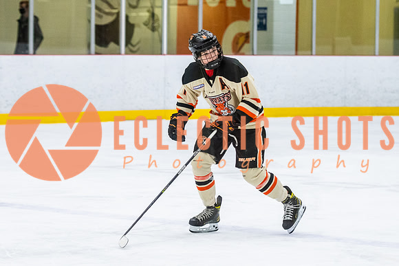 RMC2021-11-12-LloydBobcats-FVT-Birds-5960