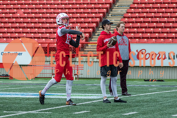 CalgaryColts2018-0801