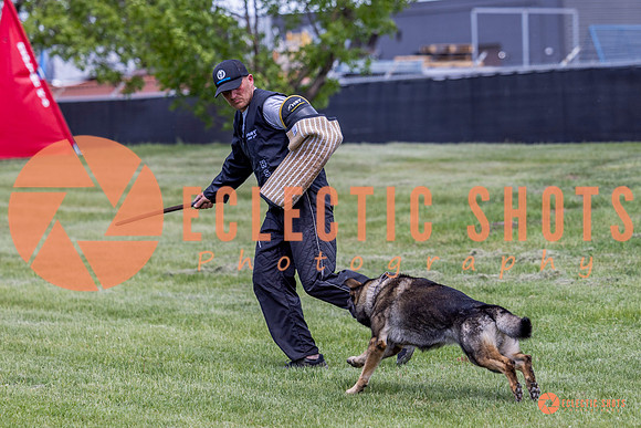 2025-K9Force-MayExams-6933