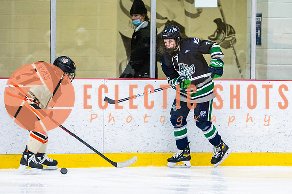 RMC2021-11-12-LloydBobcats-FVT-Birds-6118