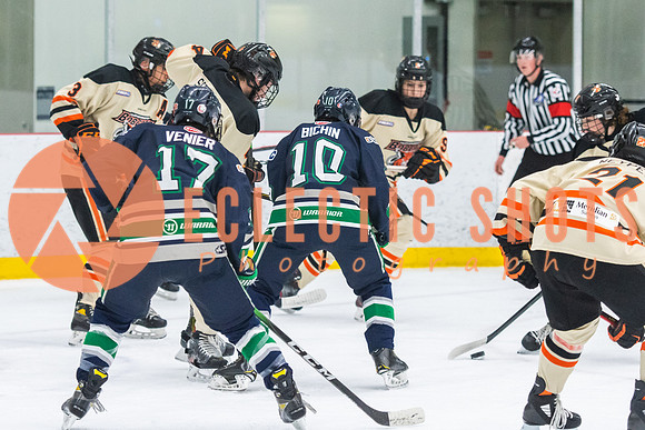 RMC2021-11-12-LloydBobcats-FVT-Birds-6100