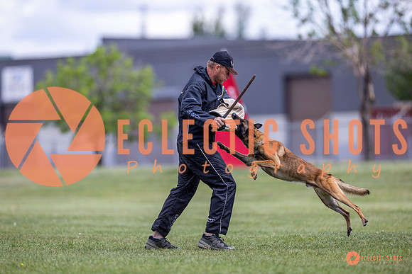 2025-K9Force-MayExams-8541