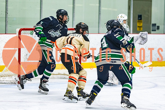 RMC2021-11-12-LloydBobcats-FVT-Birds-5968