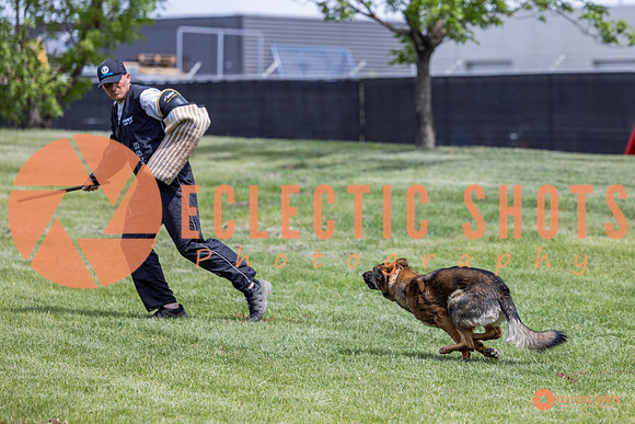 2025-K9Force-MayExams-6405