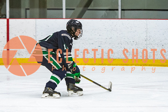 RMC2021-11-12-LloydBobcats-FVT-Birds-5963