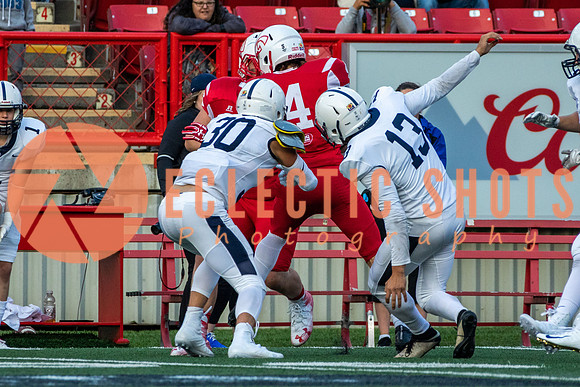 CalgaryColts2018-1033