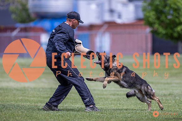 2025-K9Force-MayExams-7753