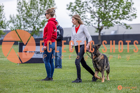 2025-K9Force-MayExams-5383