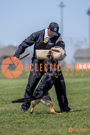 2025-K9Force-MayExams-7275