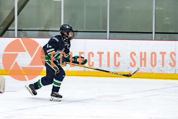 RMC2021-11-12-LloydBobcats-FVT-Birds-5978