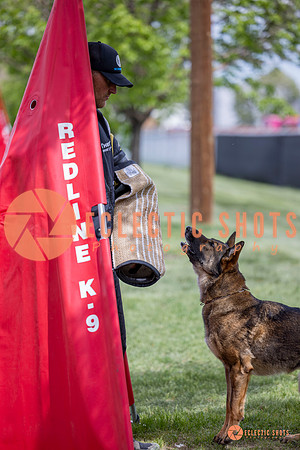 2025-K9Force-MayExams-6327