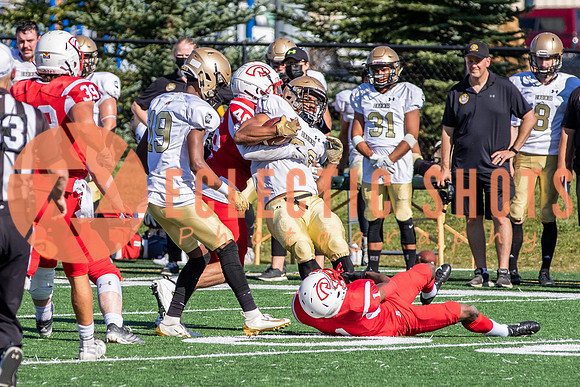 CalgaryColts-1167