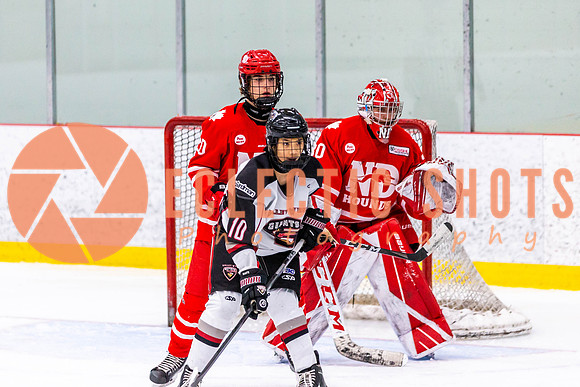 2022.11.11VWGiants-NDHounds-4266