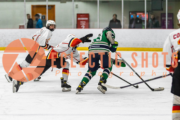 2022.11.09CalFlames-FVTBirds-0353