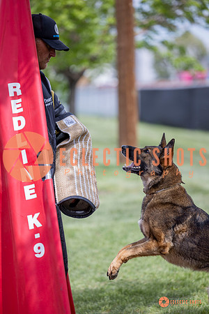 2025-K9Force-MayExams-6337