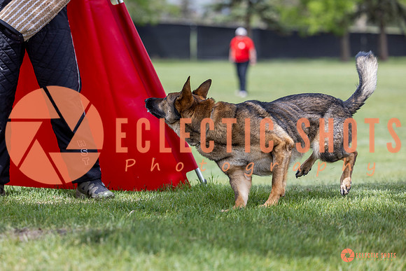 2025-K9Force-MayExams-6302