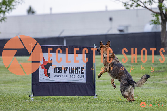 2025-K9Force-MayExams-5461