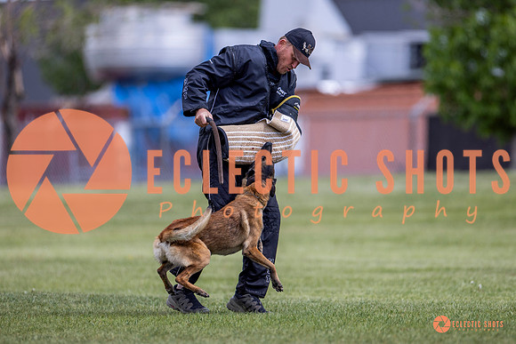 2025-K9Force-MayExams-8575