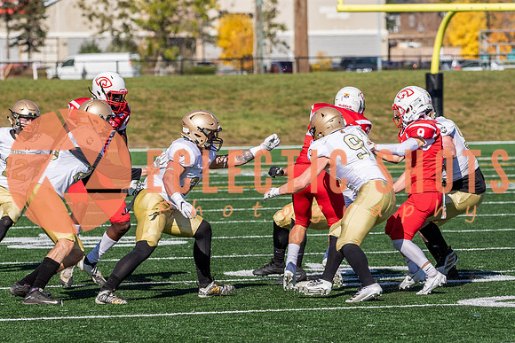 CalgaryColts-1317