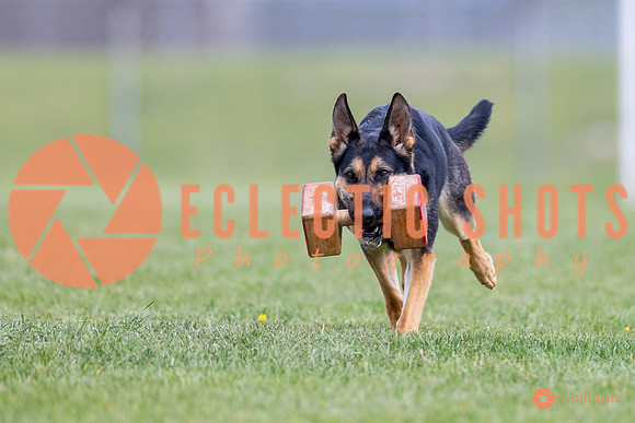 2025-K9Force-MayExams-7071
