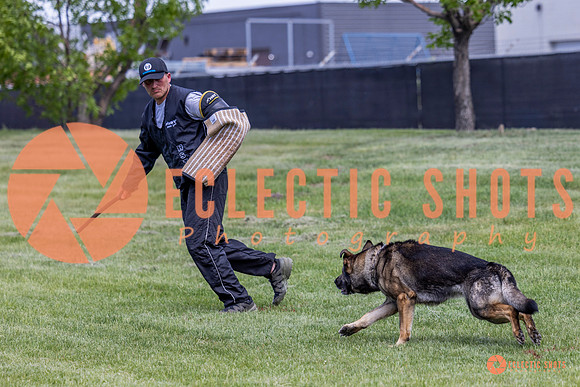 2025-K9Force-MayExams-6928