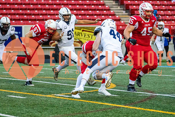 CalgaryColts2018-1456