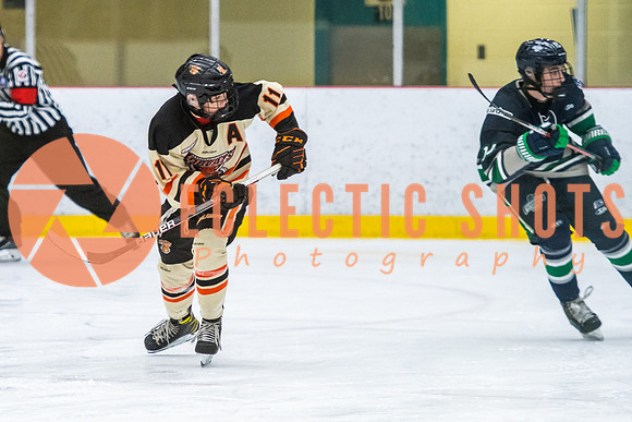 RMC2021-11-12-LloydBobcats-FVT-Birds-5957