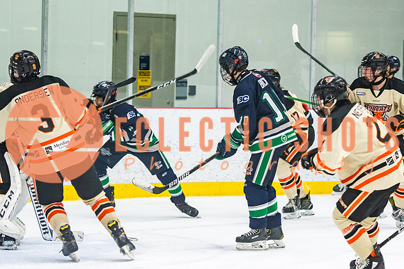 RMC2021-11-12-LloydBobcats-FVT-Birds-6104