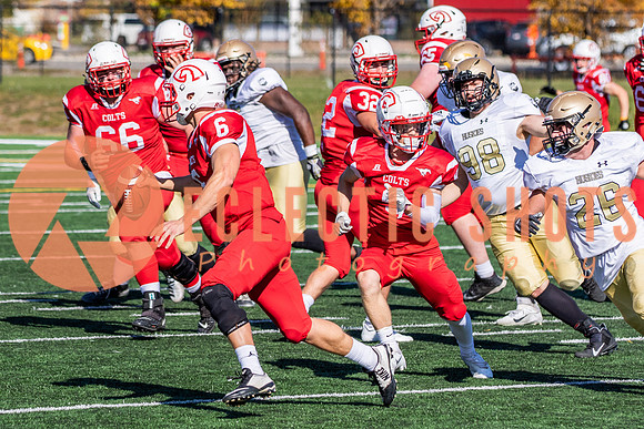 CalgaryColts-1385