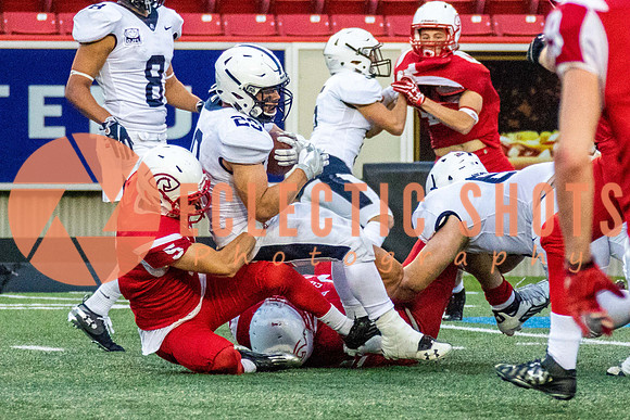 CalgaryColts2018-1489