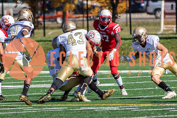 CalgaryColts-9732