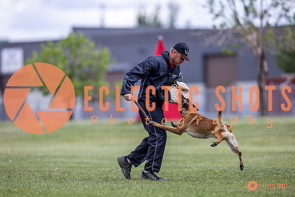 2025-K9Force-MayExams-8545