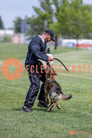 2025-K9Force-MayExams-6461