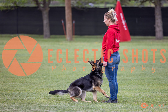 2025-K9Force-MayExams-5792