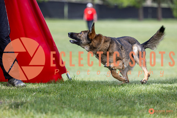 2025-K9Force-MayExams-6298
